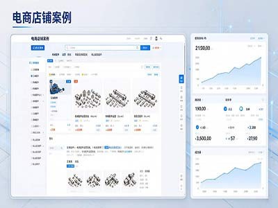 机械设备配件电商店铺运营案例